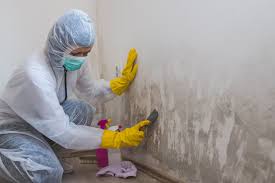 Mold Remediation for Vacation Homes in Ohkay Owingeh, NM